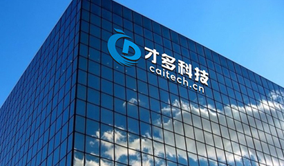 上海软件开发公司简介